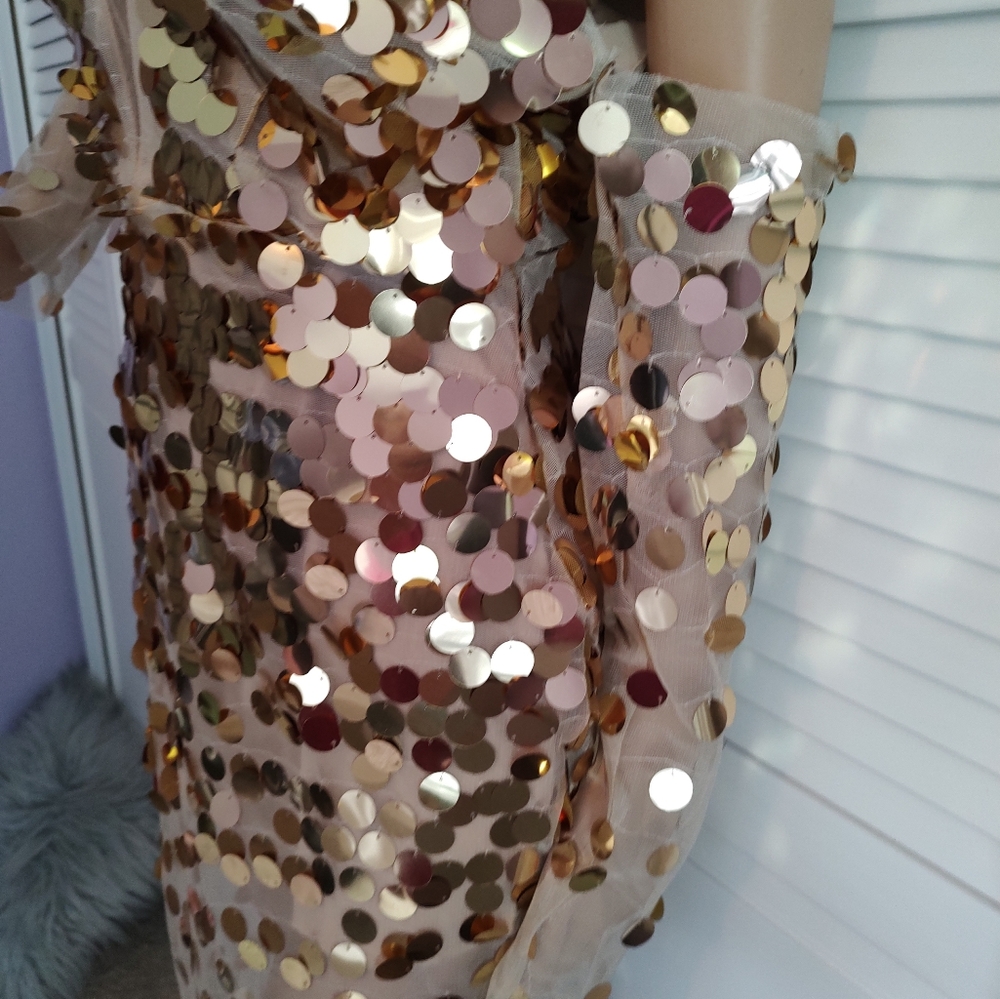 Sexy sheer metallic gown - Picture 15 of 16